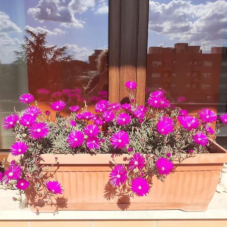 L'Orchidea Di Ale Bed & Breakfast Tivoli Terme Exterior foto