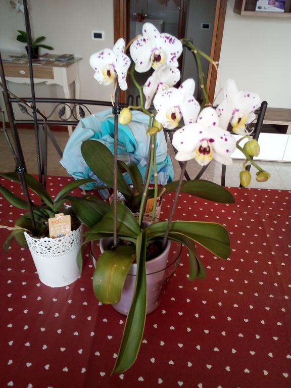 L'Orchidea Di Ale Bed & Breakfast Tivoli Terme Exterior foto