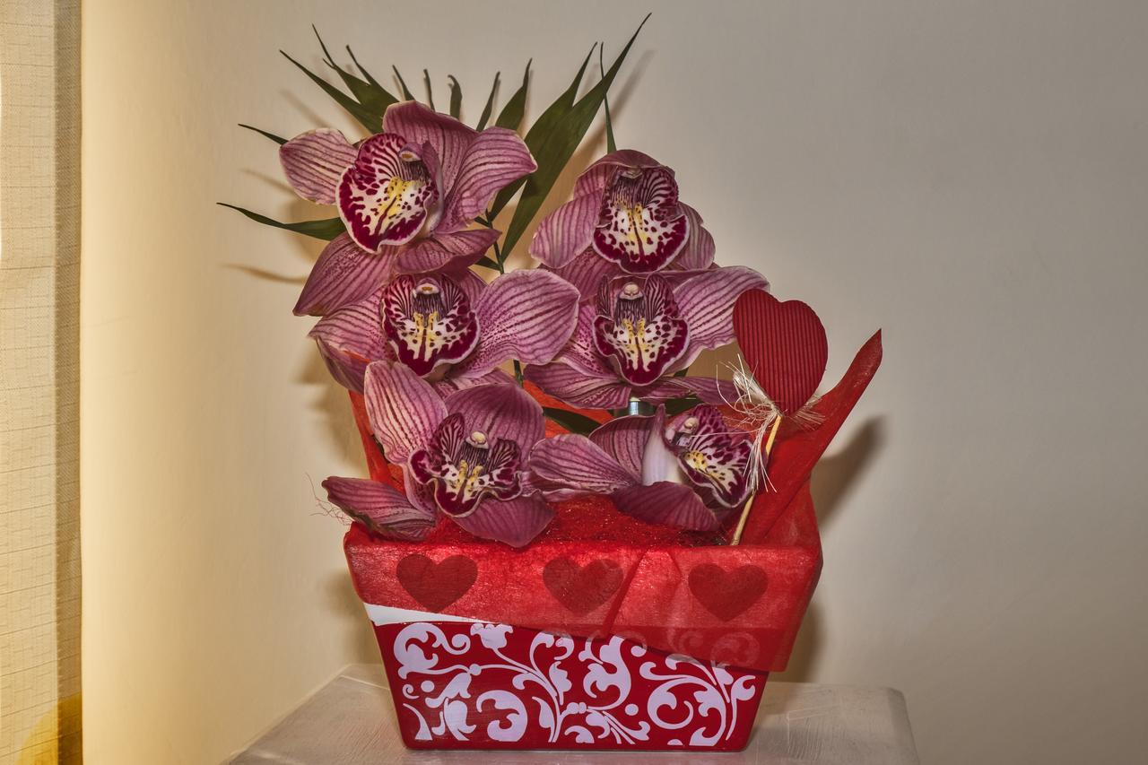 L'Orchidea Di Ale Bed & Breakfast Tivoli Terme Exterior foto